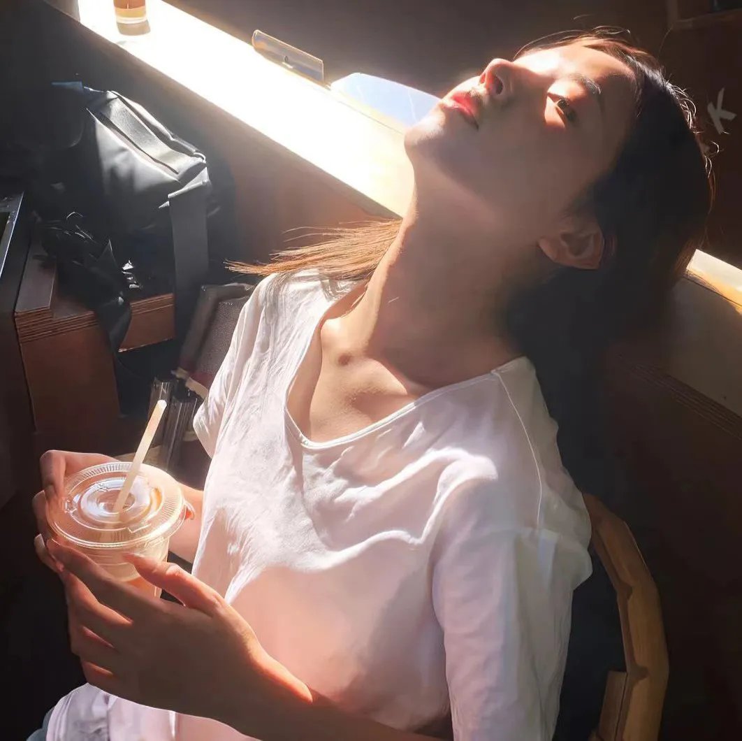 天梯：蔡国强的艺术