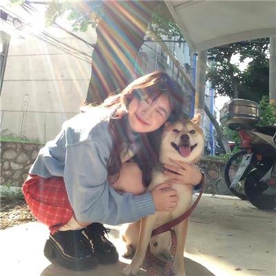 裴先生的野玫瑰